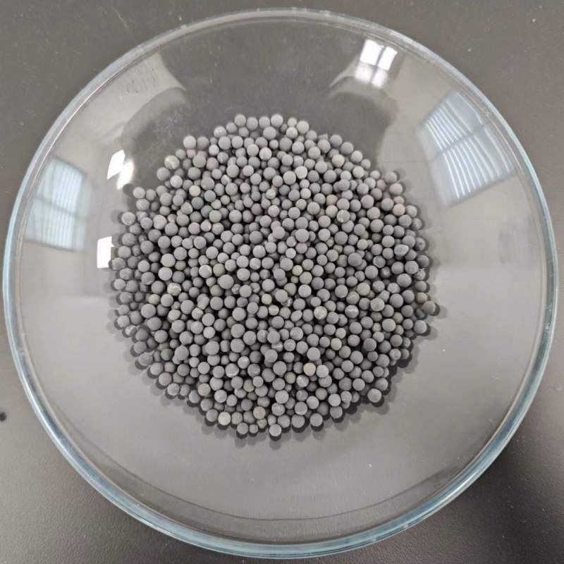 JS-21 一氧化碳脱氢催化剂